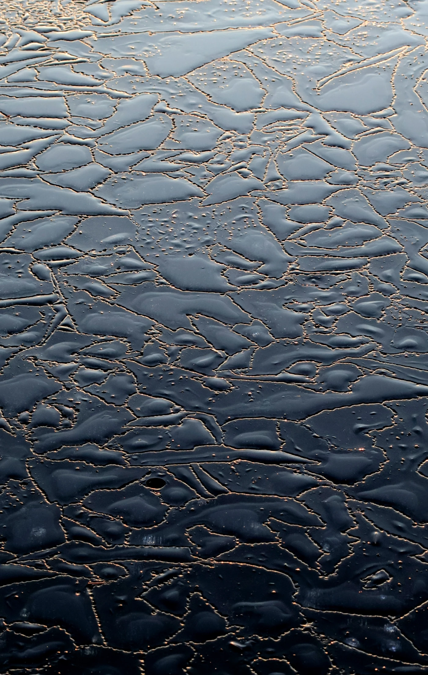 An undulating ice texture is highlight by beads of sunlight reflecting off the seams.