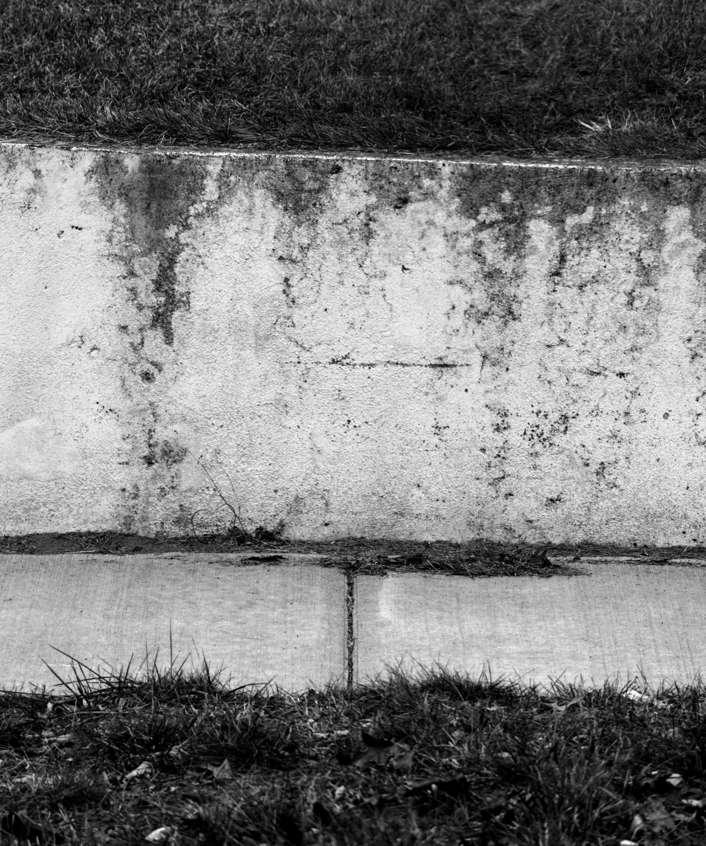 Black and white photograph of grass and concrete. The concrete has a deteriorating paint that is failing in a pleasing way, and the grass letterboxes the top and bottom of the frame. A red filter was used to make the grass dark in contrast to the light concrete.